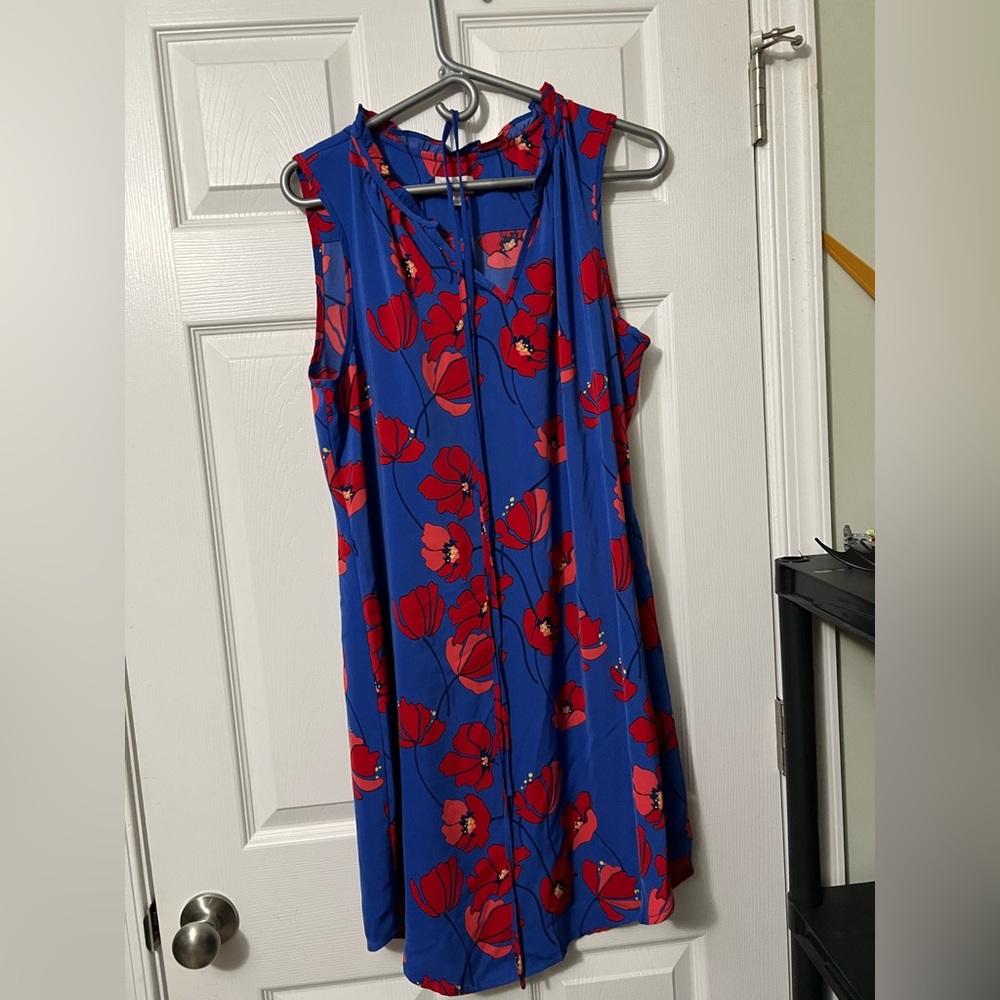 Market & Spruce Blue and Red Sleeveless Sundress